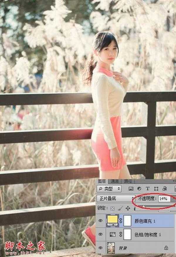 Photoshop将秋季芦苇边的美女图片增加上通透的甜美色