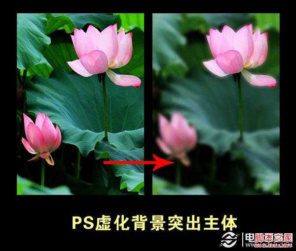 如何使用PS虚化背景突出主体 Photoshop高斯模糊实例教程