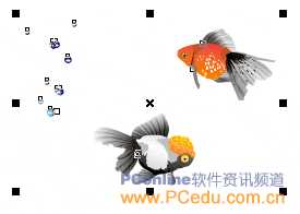 CorelDRAW(CDR)设计制作形状各异的金鱼饲料的立体包装盒实例教程