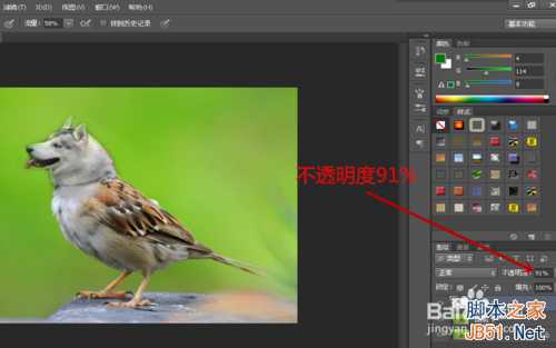 ps创意合成哈士奇头麻雀身的奇异动物