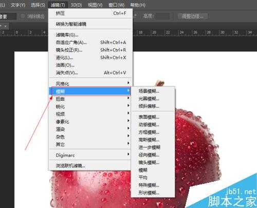 入门:photoshop进一步模糊滤镜使用方法