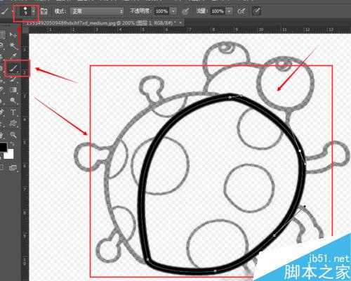 用PS钢笔工具描图方法介绍