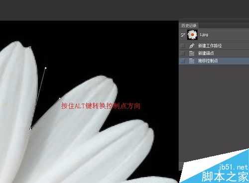 PS如何用钢笔工具抠图?PS钢笔工具抠一朵花