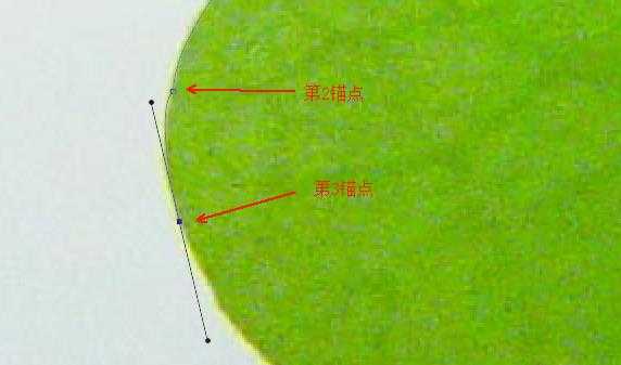 PS中怎么绘制漂亮的幸运三叶草?