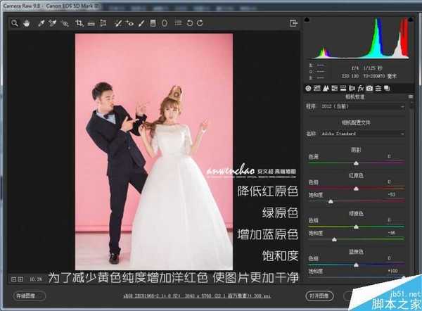 Photoshop调出活泼小清新的室内婚纱照片