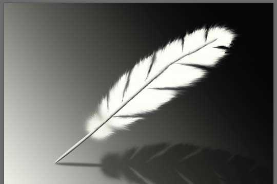 PS怎么画出彩色的羽毛?